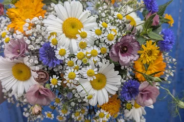 Blooming Blooms Florist 