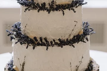 The Iced Vegan