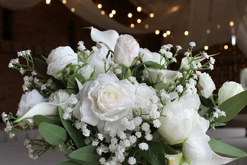 Spring Blooms 