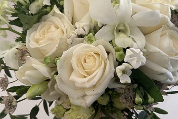 Bridgford Blooms