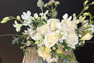 Bridgford Blooms
