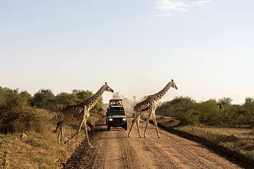 Nomadica Travel Ltd