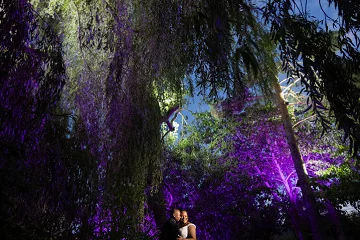 Peter Dyer Photographs