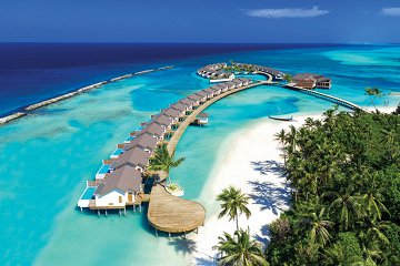 Mantas & Herons - Maldives Specialist