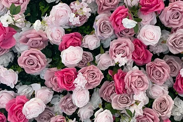 Full Bloom - Luxury 4D Flower Walls