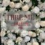 Full Bloom - Luxury 4D Flower Walls