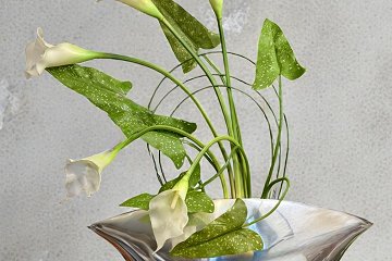 Blooming Realistic