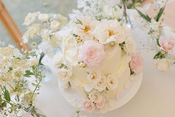 Kris Cake Co.