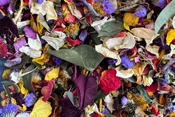 Ezra's Confetti