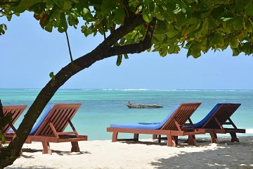 Hamilton Curtis Travel Design
