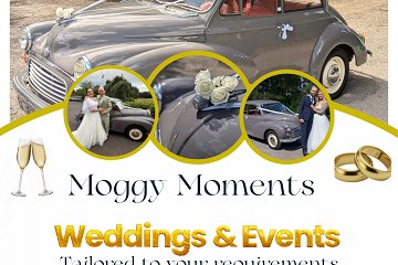 Moggy Moments