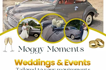Moggy Moments