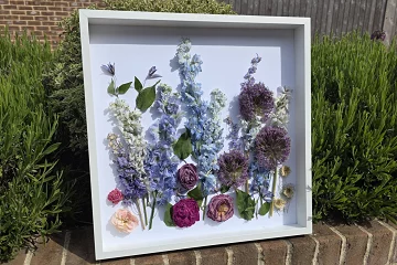 The Bloom Room