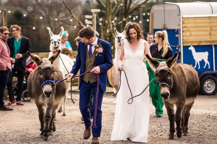 The Wellbeing Farm Wedding and Events Venue