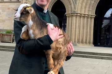 Ripon Cathedral