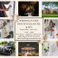 Wedding Fayre at Orton Hall Hotel & Spa - 15th September 2024