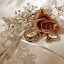 Wedding fair at the Oakham - 6th October 2024