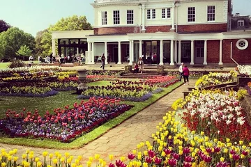 Hotel du Vin Wimbledon