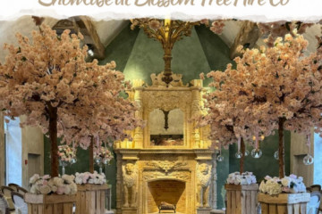 Blossom Tree Hire Co's Network Members Only Showcase - 24th January 2026