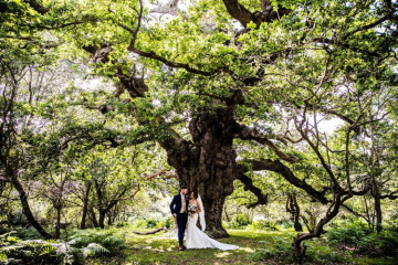 Balmer Lawn Hotel Wedding Showcase - 20th September 2026