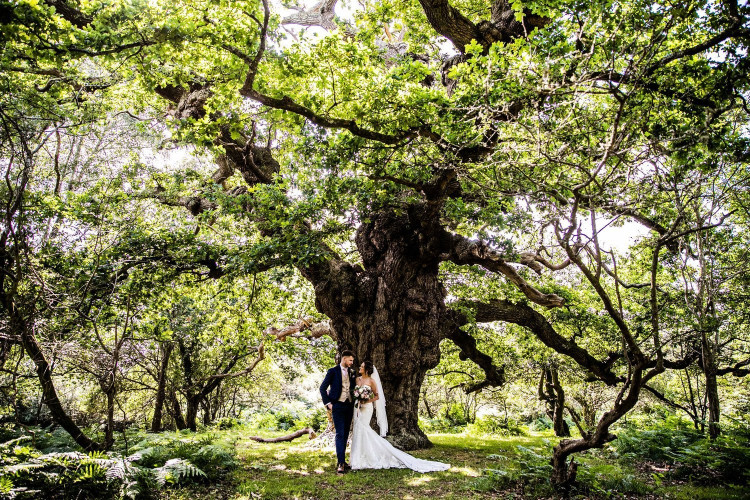 Balmer Lawn Hotel Wedding Showcase - Golden Hour Evening - 22nd July 2026