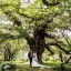 Balmer Lawn Hotel Wedding Showcase - Golden Hour Evening - 22nd July 2026