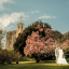 Hedingham Castle Wedding Showcase - 8th March 2026