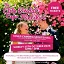 The Elite Bridal Expo Flintshire - 25th October 2026