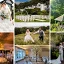 Castle Green Hotel Wedding Showcase - 6th September 2026