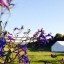 Dorchester Wedding Festival at Dewflock Farm - 22nd May 2016