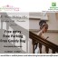 The Holiday Inn Great Barr Winter Wedding Show - 13th November 2016