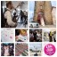 A BIG Cornwall Wedding Fayre & Live Lounge - 15th January 2017