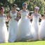 The BIG North Devon Spring Wedding Show - 8th March 2015