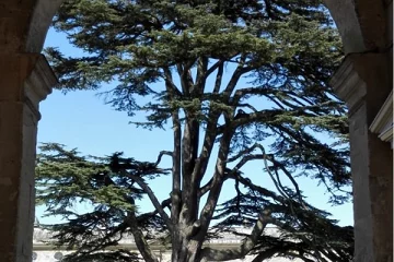 Woburn Abbey
