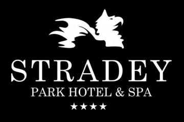 Stradey Park Hotel