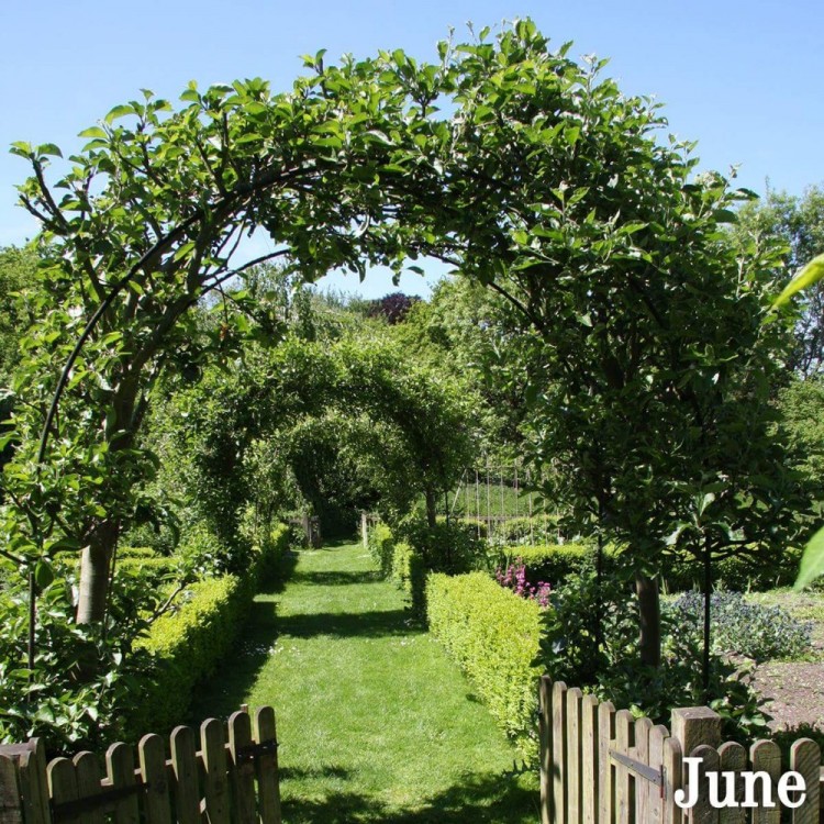 Best Western Plus Grim's Dyke Hotel