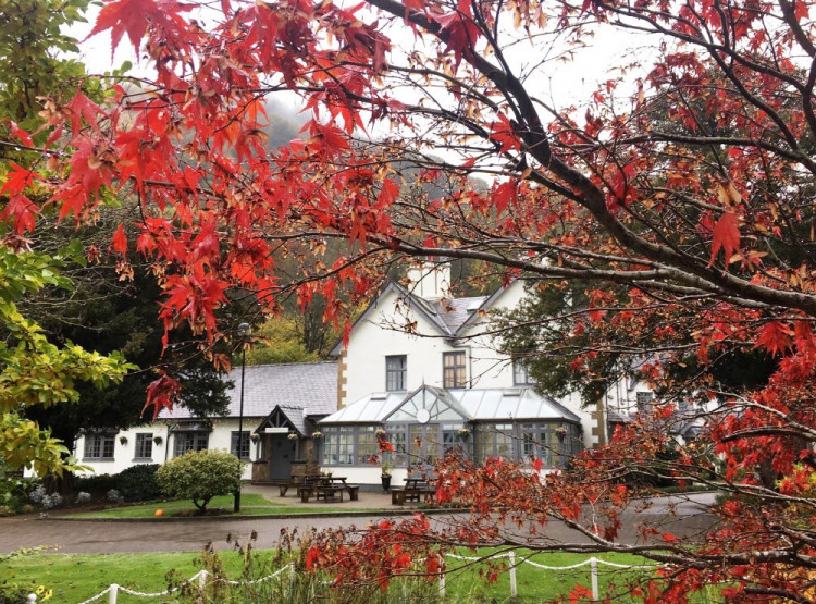 The Wild Pheasant Hotel & Spa