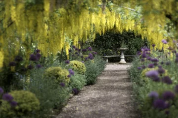 The Dorothy Clive Gardens