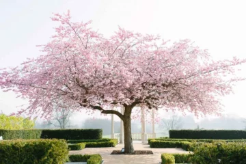 Froyle Park