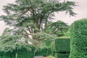 Fawsley Hall Wedding Venue