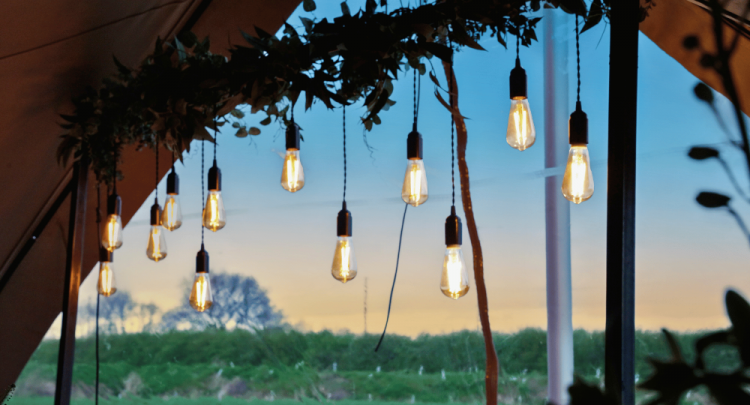 Mrs Dowsons Farm Park