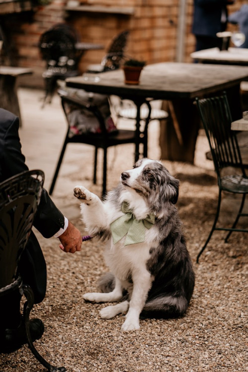 The Bell In Ticehurst
