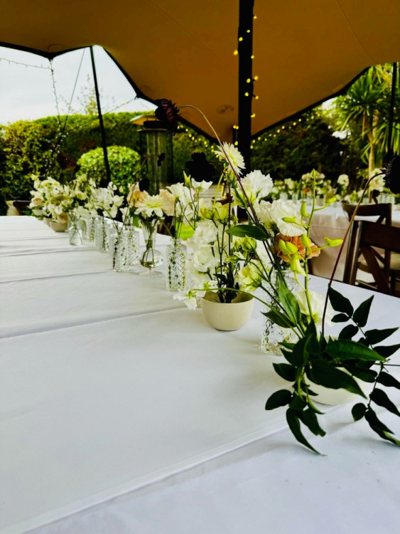 Taylor’s Tents & Events