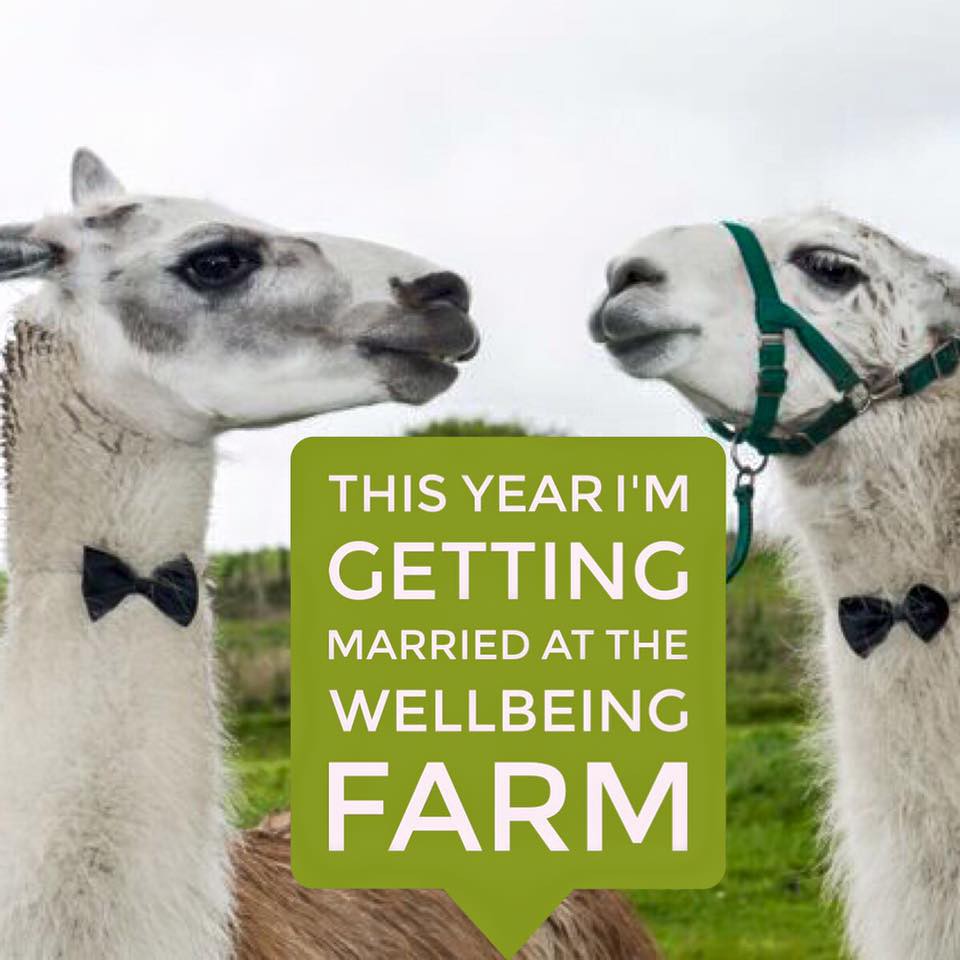 The Wellbeing Farm