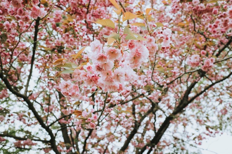 The Old Kent Barn Weddings