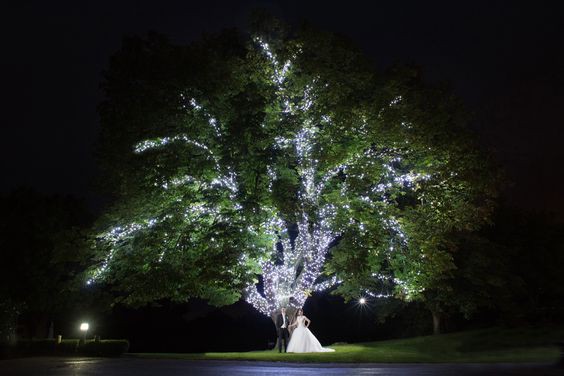 The Moat House Hotel, Weddings & Conferences